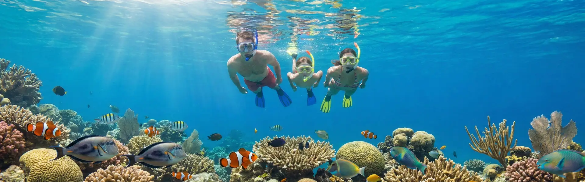 海底世界浮潛